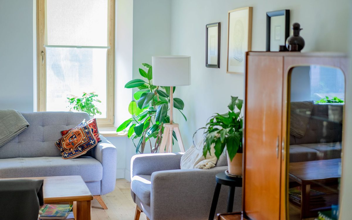 Stylish living room with soft sofas, indoor plants, and ample natural light.